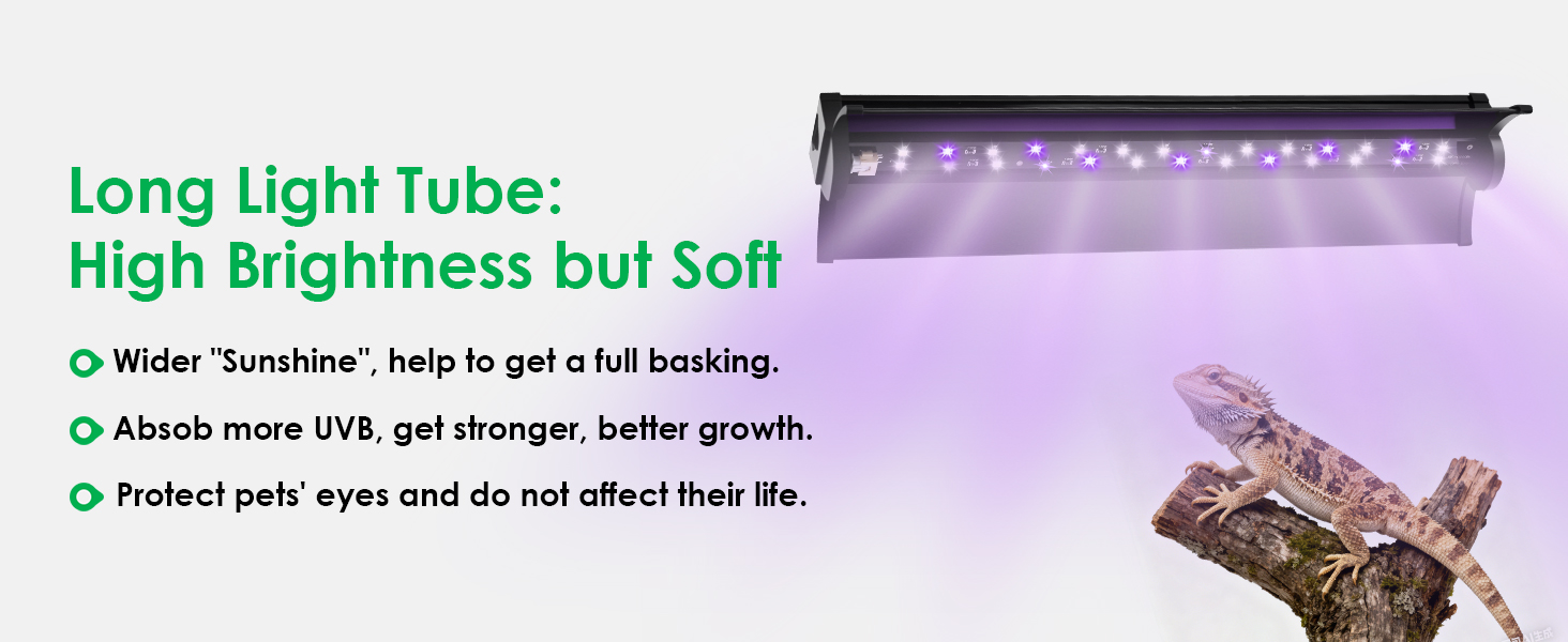 heat lamp