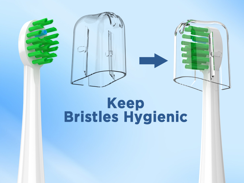 water pik replacement brush heads