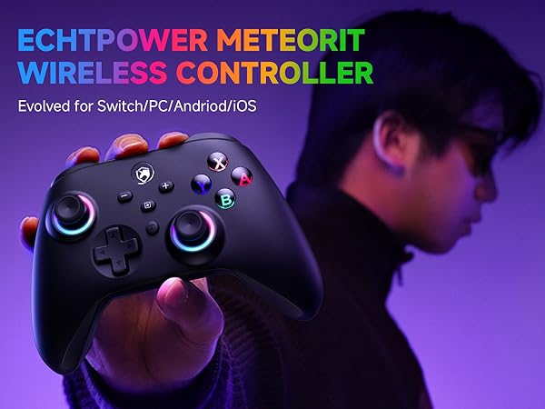Switch Pro Controller