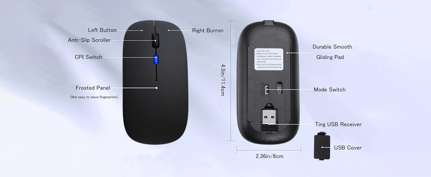 Mouse
