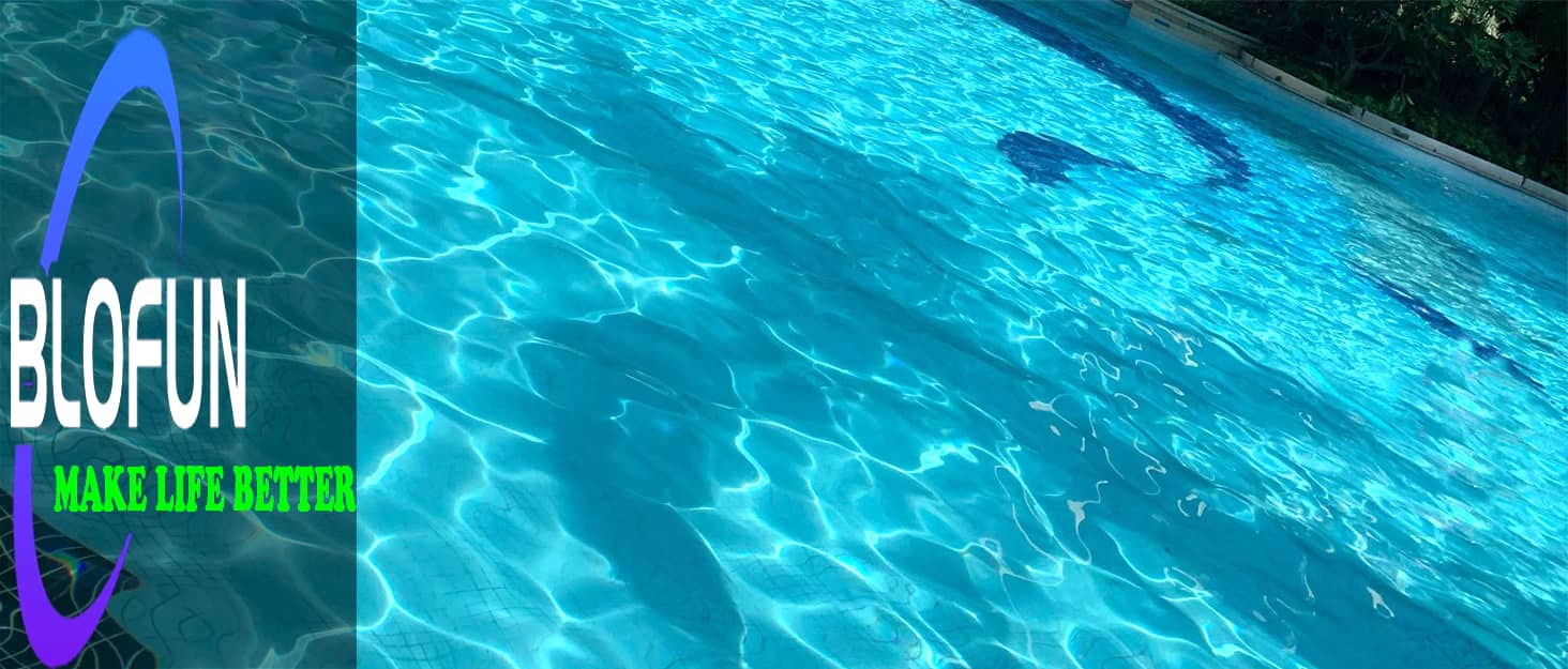 pool floats adult