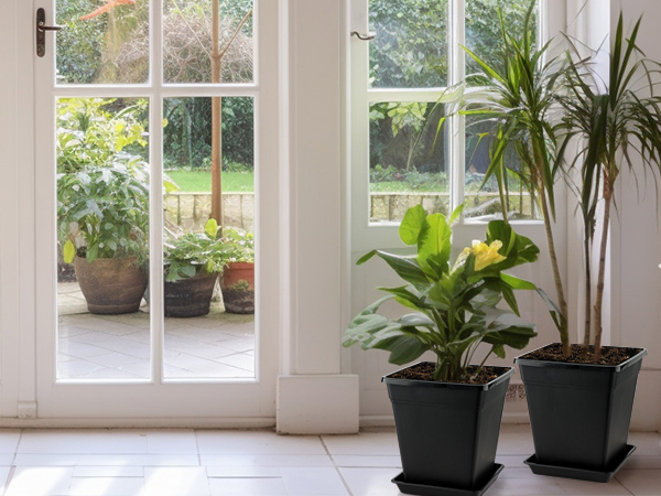 planter pots