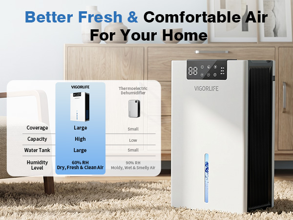 closet dehumidifier