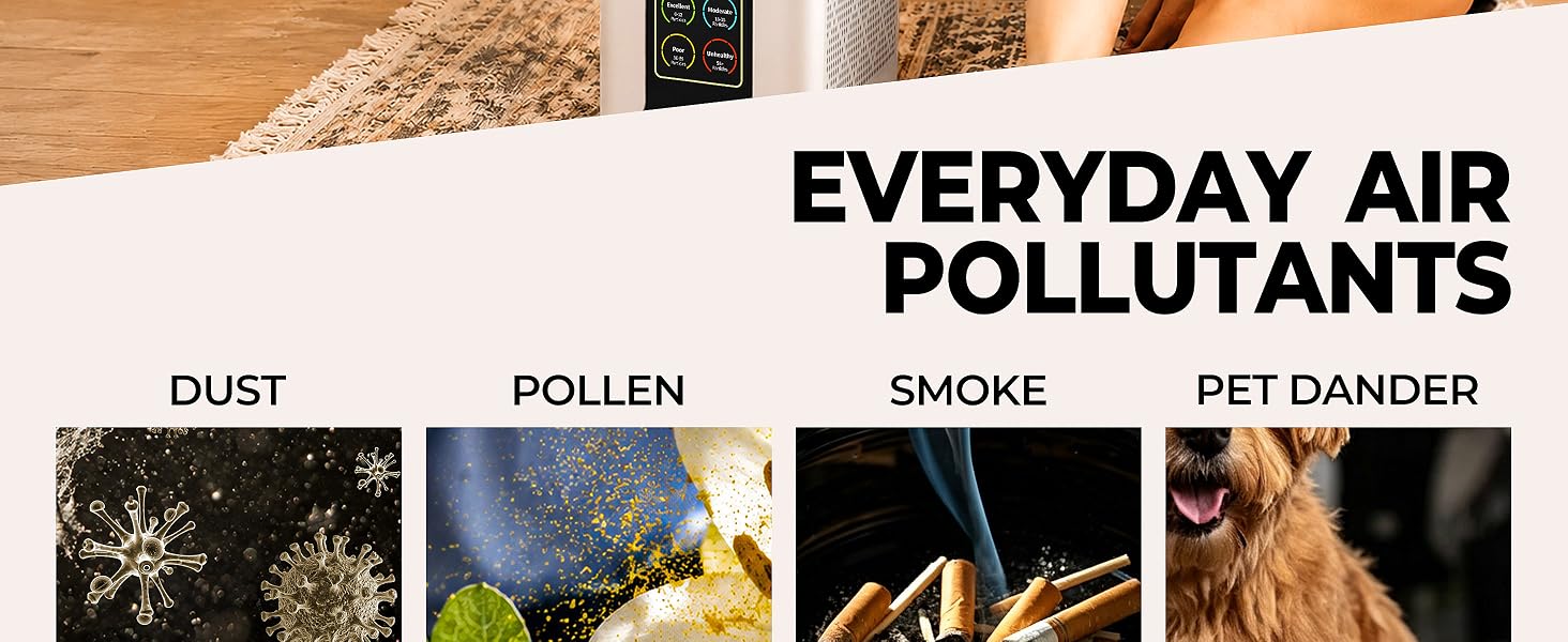 hepa air purifiers for home