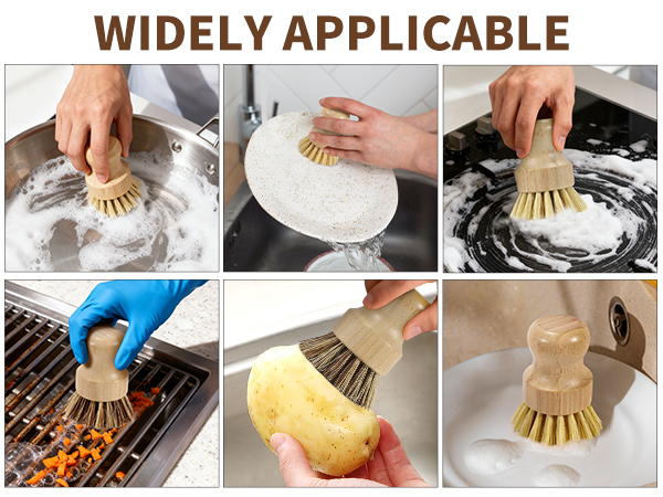 dish brush used in kitchen