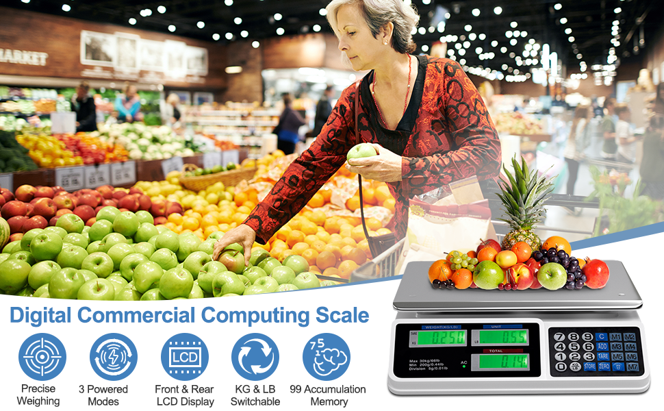 Electronic Scale