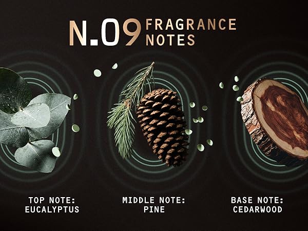 n. 09