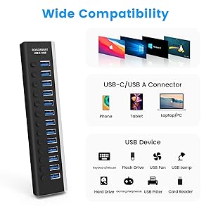 ROSONWAY 13 Ports USB 3.1 Gen 2 HUB