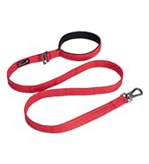 Double Layer Double-Sided Reflective Nylon Dog Leash Padded Handle 5 FT Nylon Dogs Leashes for Wa...