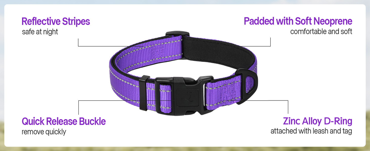 soft dog collar