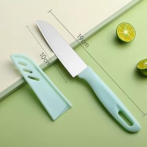 Small Kitchen Knife