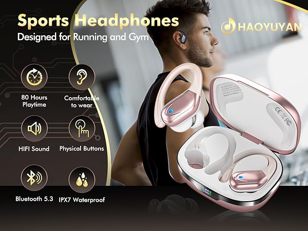 Earbuds