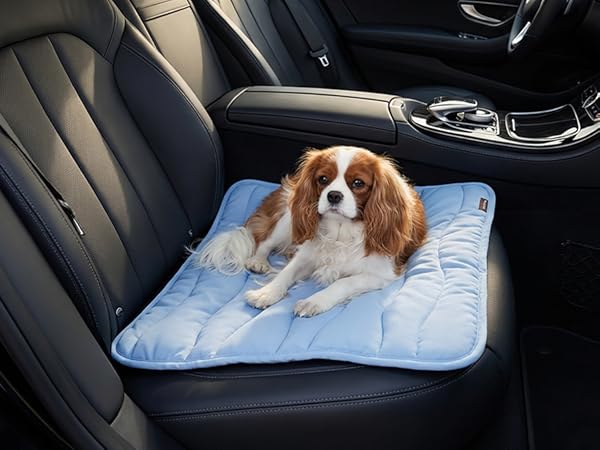 Dog Cooling Mat