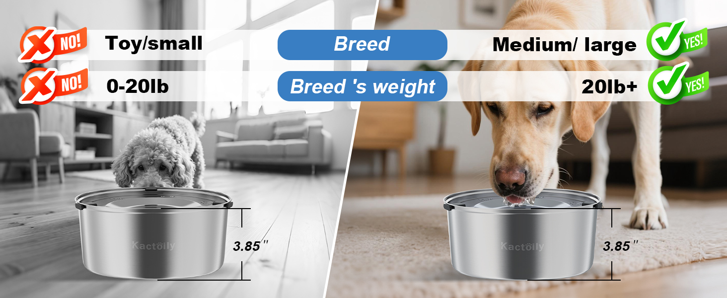 dog water bowl
