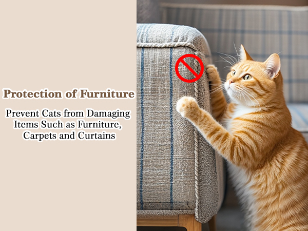 Cat Scratching Post