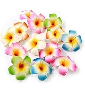 10Pcs 7cm Multicolor Hawaii Plumeria Flower Clips, Artificial Tropical Flower Hair Accessories fo...