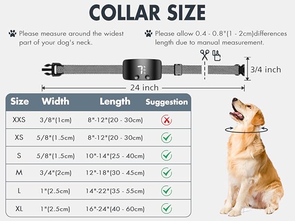 Measure Colloar Size