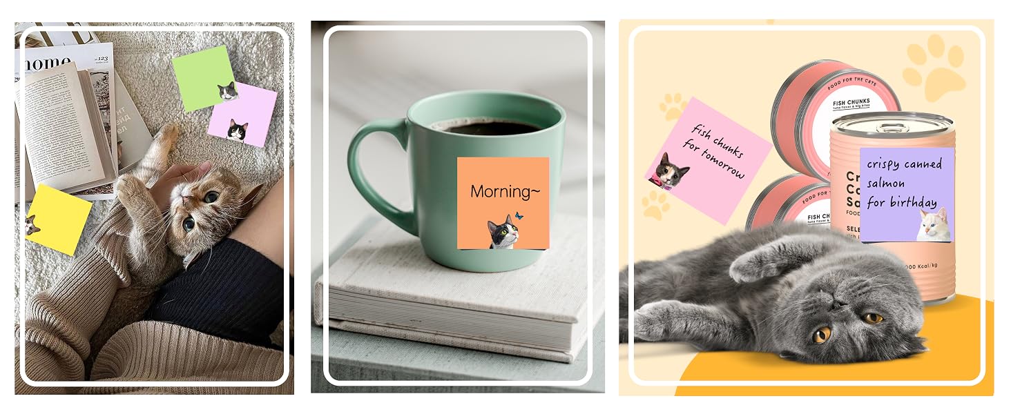 gift for cat lovers
