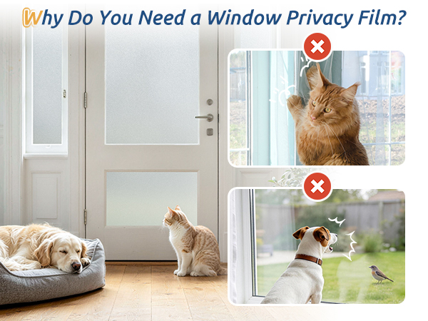 privacy protection
