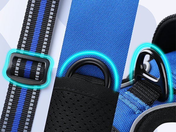 rabbitgoo