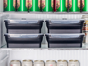 collapsible meal prep containers