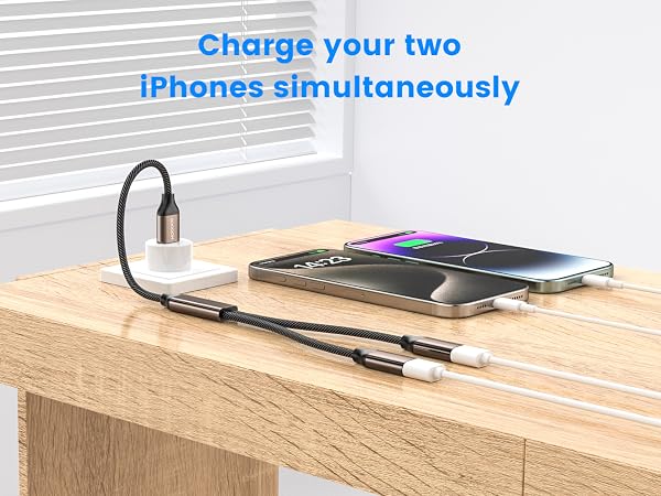 USB Y Cable