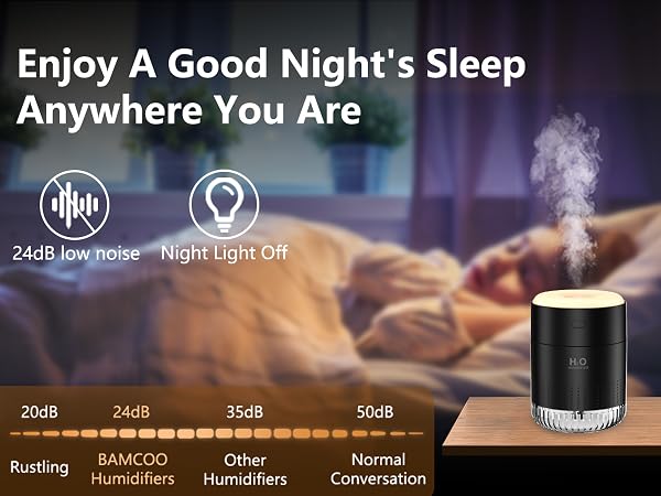 plant humidifier indoor