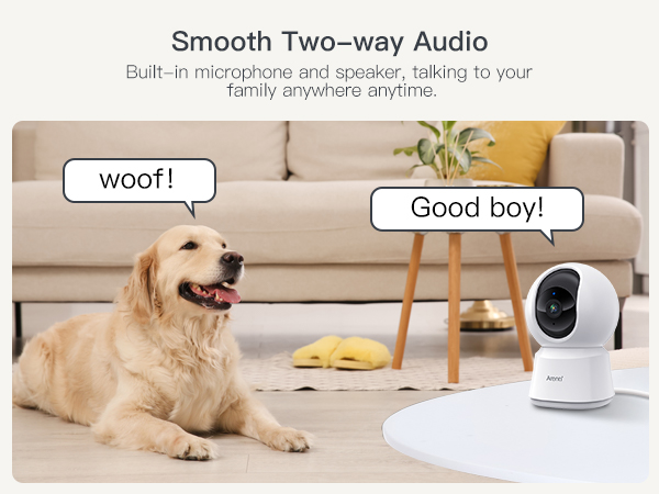 two-way audio