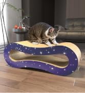 cat scracher