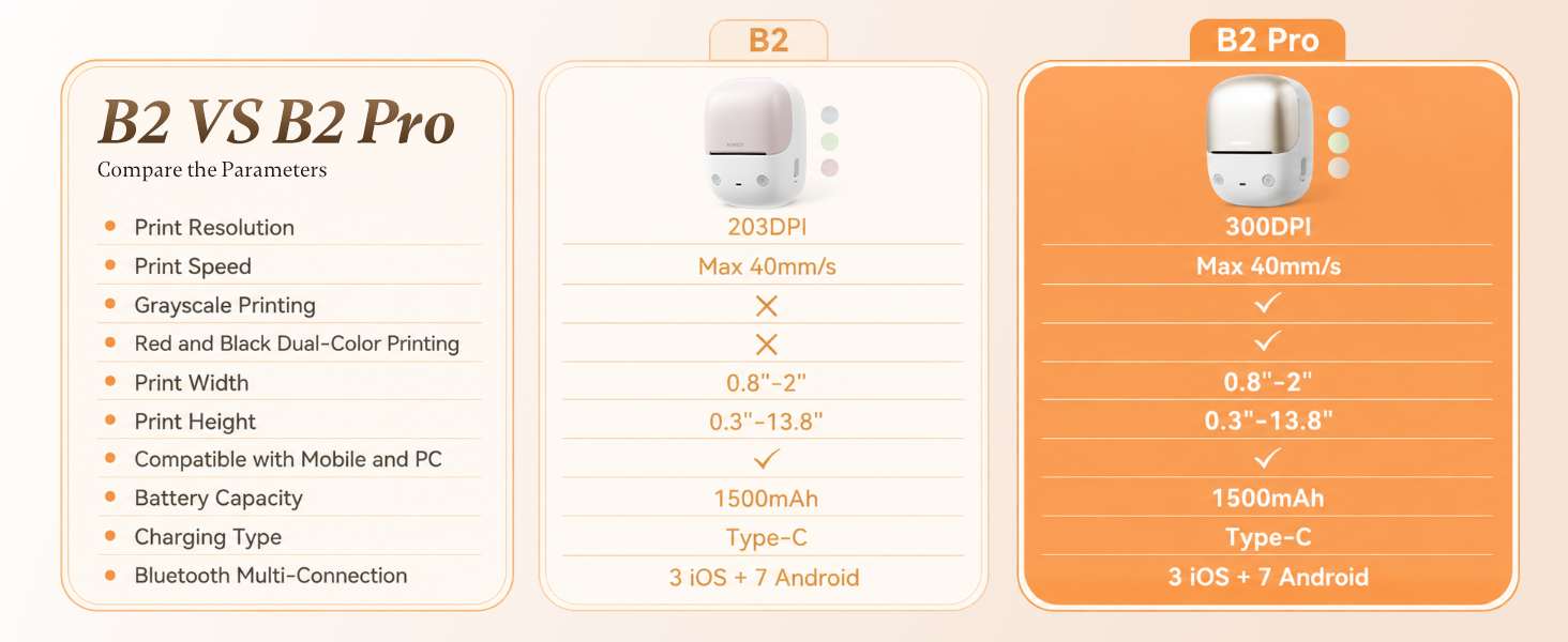 NIIMBOT B2 Pro Label Maker