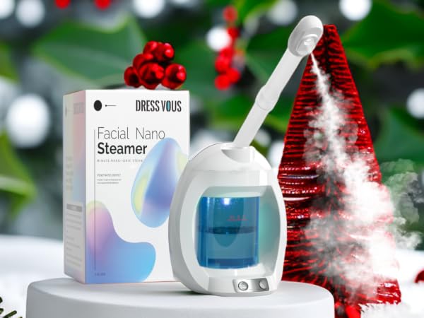 face steamer