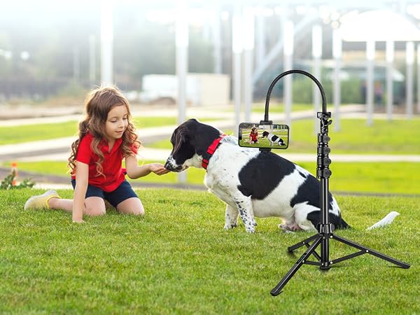 iPhone Tripod