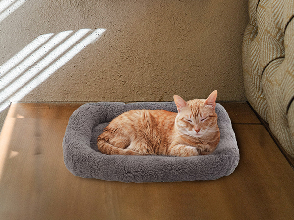 cat bed