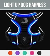 https://m.media-amazon.com/images/S/aplus-media-library-service-media/46d33cfc-dadb-4cf4-b59e-48b8338b0b87.__CR0,0,400,450_PT0_SX200_V1___.jpg
