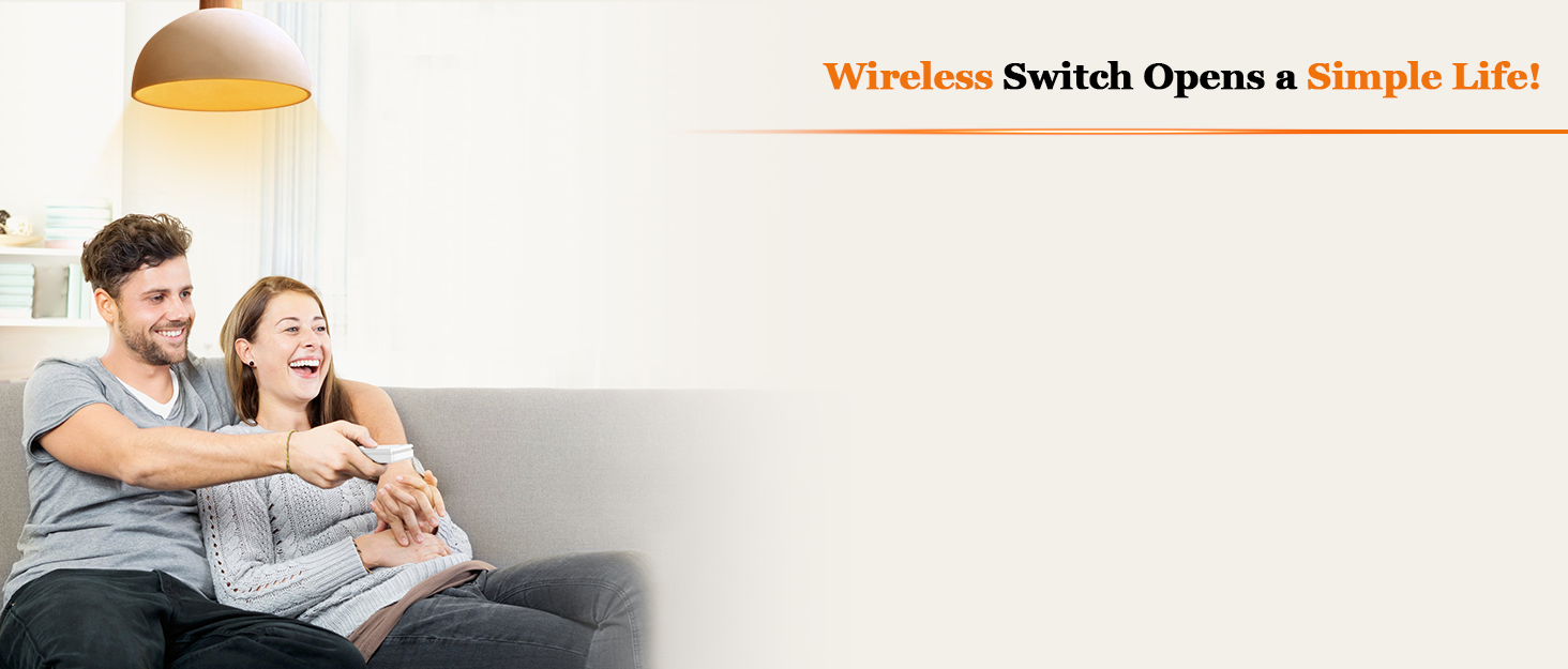 Thinkbee wireless light switch