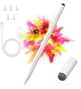 Stylus Pen for iPad, 2 in 1 Active and Capacitive Apple Pen, Fast Charge Apple iPad 10th Generati...