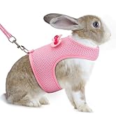 AIITLE Bunny Harness and Leash Set, Soft Breathable Mesh Vest Harness with Cute Bow for Rabbits K...