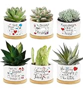 Tarklanda 6Pcs Nurse Appreciation Gifts Succulent Pots Nurses Day Ever Gifts Mini Ceramic Planter...