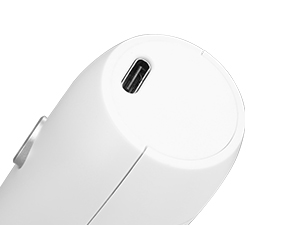 Electric Milk Frother