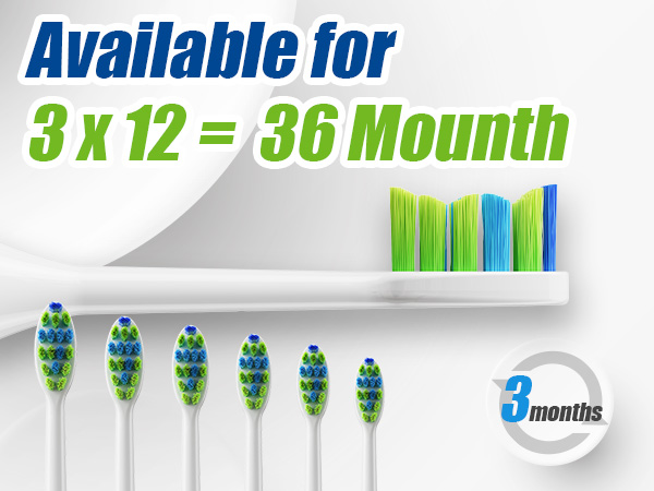 12 toothbrush head