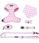 EPETKO Small Dog Harness and Leash Set of 6, No Pull Soft Lightweight Mesh Puppy Harness, Adjusta...