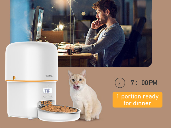 automatic cat feeder cat food dispenser pet feeder