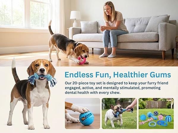 Puppy Toys for Teething