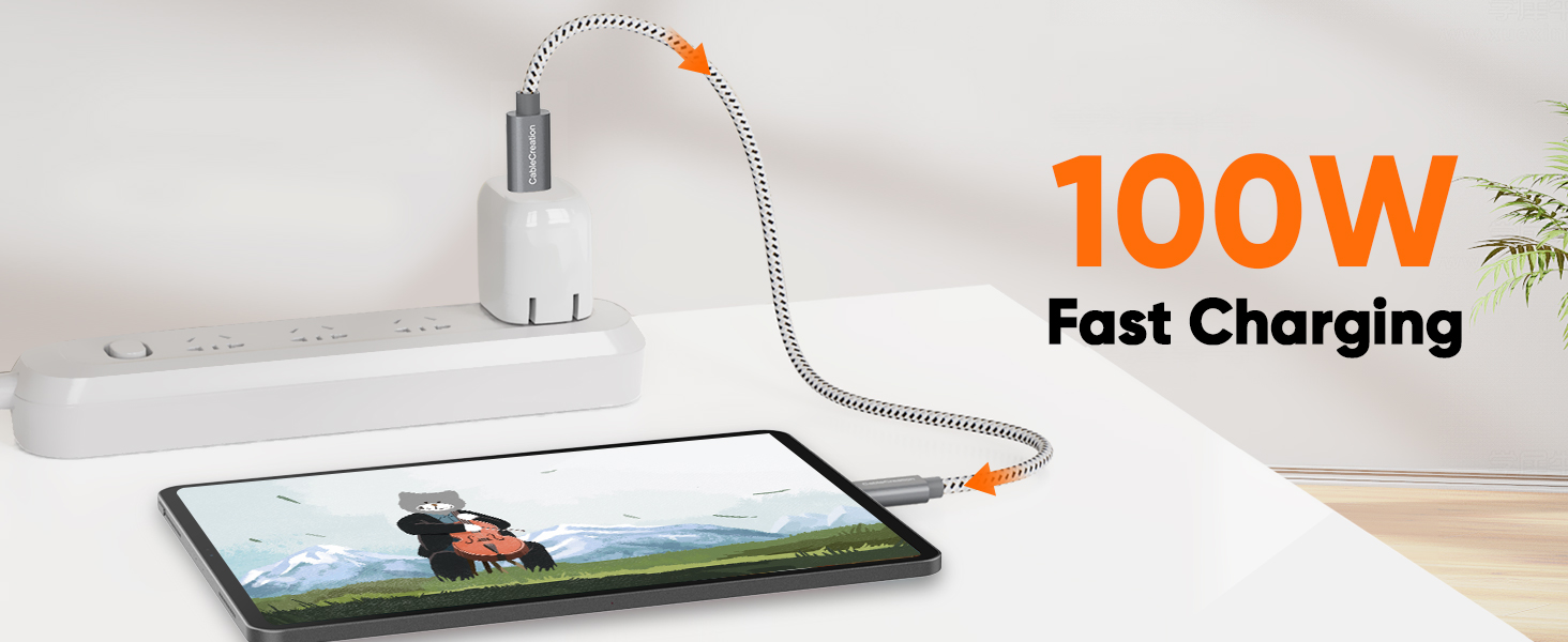 100W USB C fast charge cable