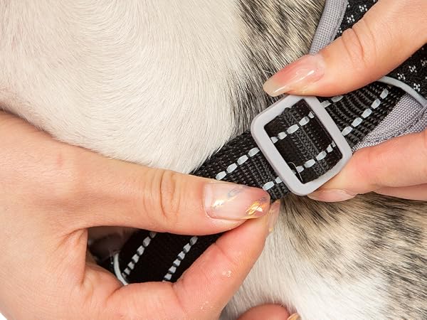 no slip dog harness escape proof