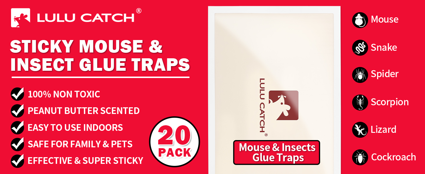 Mouse Traps Indoor for Home, Sticky Pest Control Adhesive Tray for Catching Bugs