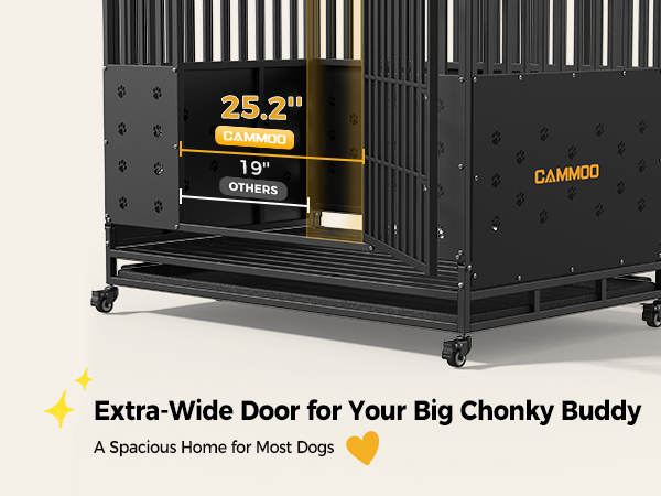 Extra-Wide Door