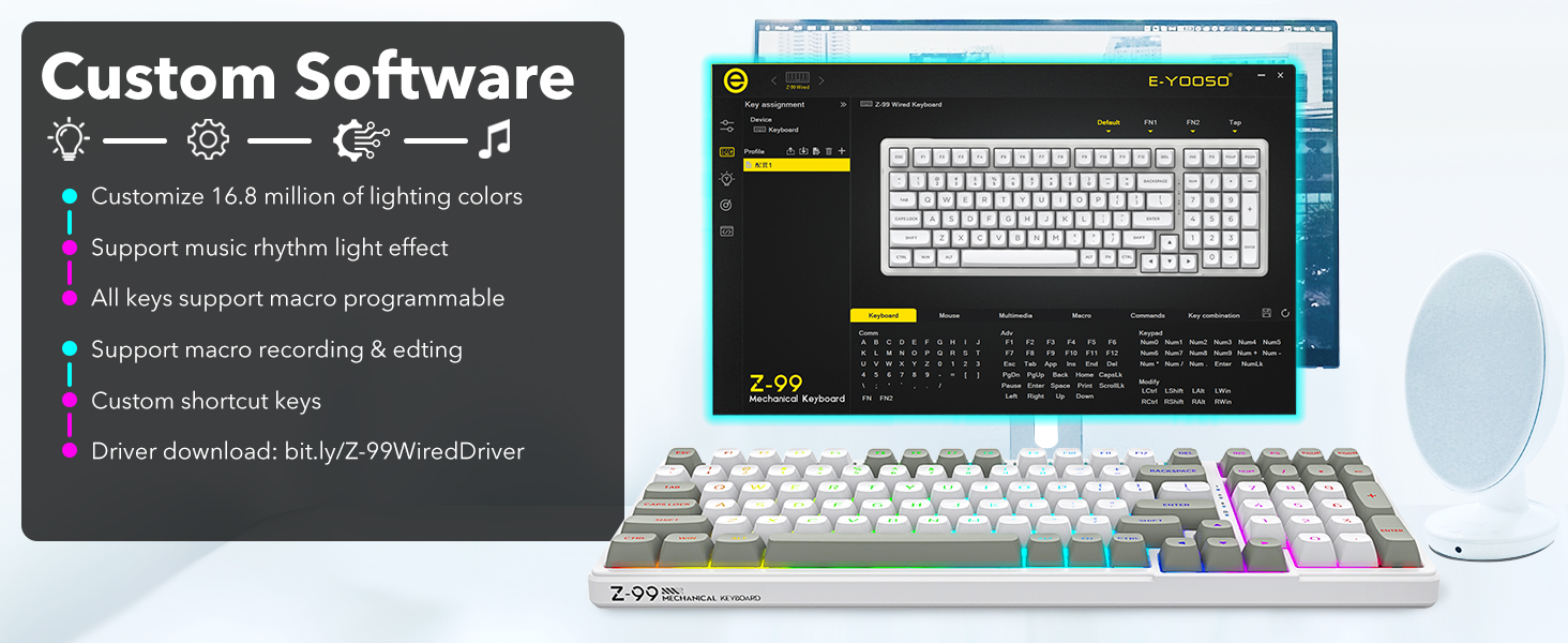 software