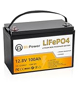 12v 100ah