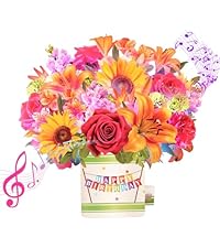 https://m.media-amazon.com/images/S/aplus-media-library-service-media/4ed489aa-155b-4cc7-96ce-614b461128fa.__AC_SR200,225___.jpg
